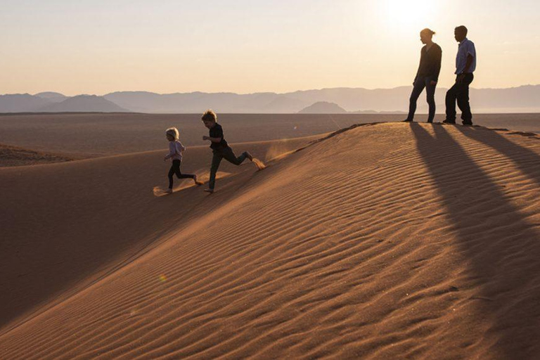 From Windhoek: 6-Day Namibia Safari with Lodging & Meals