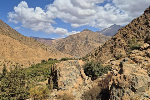 Marrakech: Ourika Valley, Waterfalls Private Trip with Lunch
