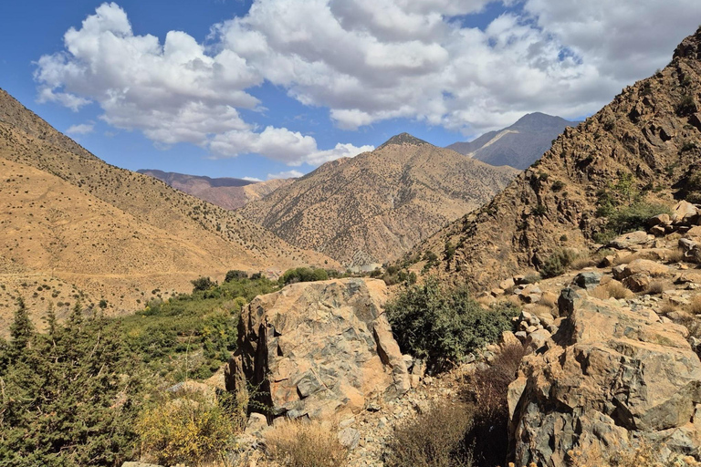 Marrakech: Ourika Valley, Waterfalls Private Trip with Lunch