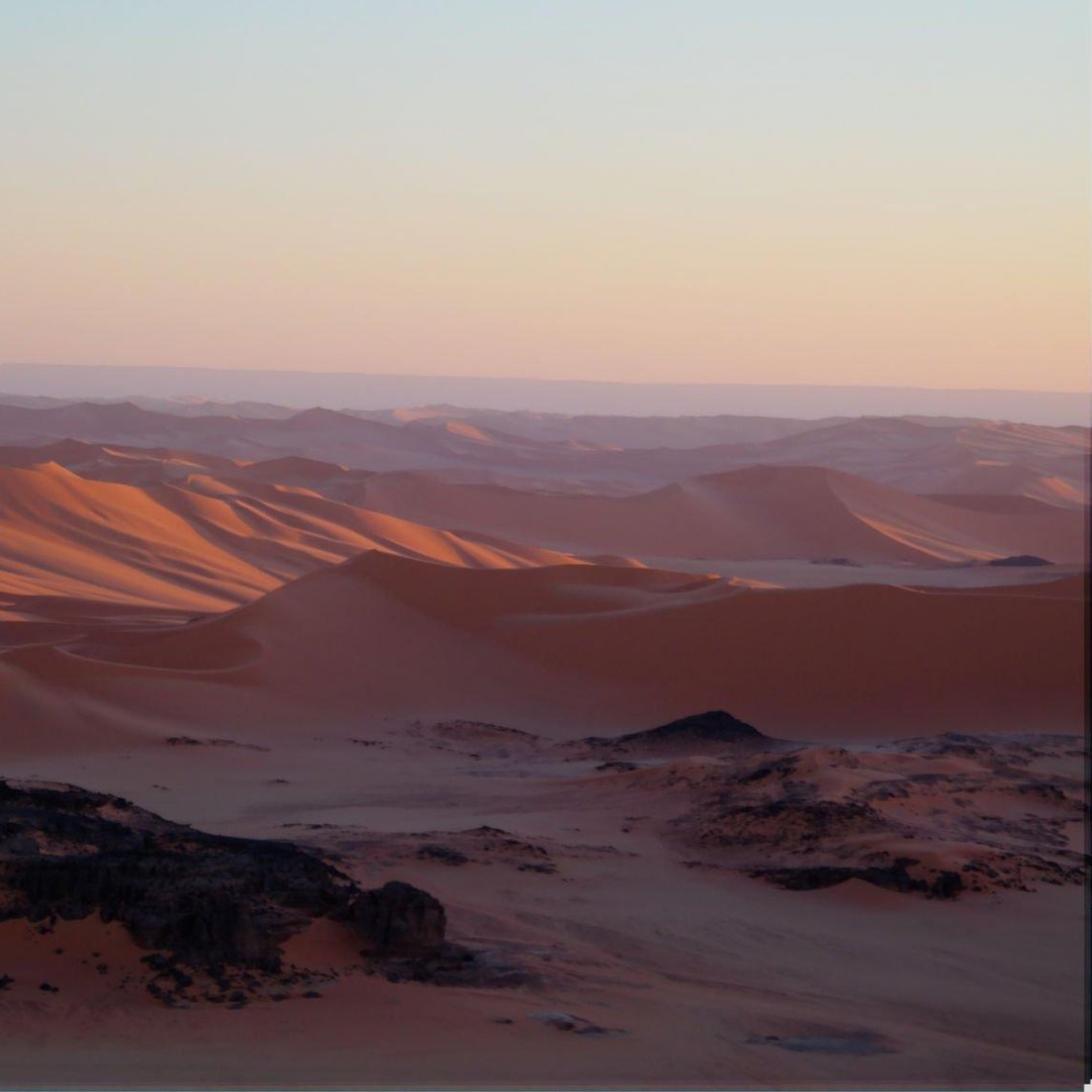 Depuis Agadir/Taghazout : Dunes de sable du Sahara avec transfert