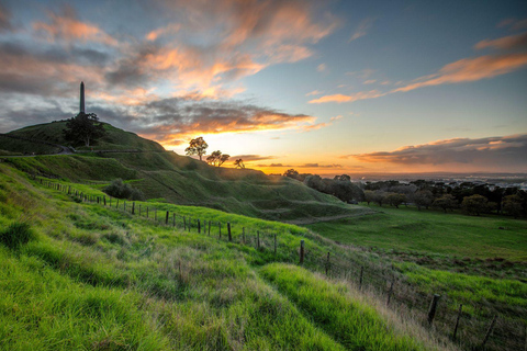 Das Beste von Auckland: Private Tour zu Fuß mit einem EinheimischenPrivate Stadtführung - 2Hr