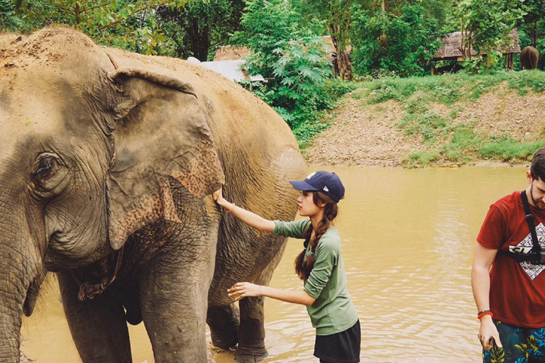 Bangkok to Elephants World&amp;Erawan Waterfall in KanchanaburiFrom Bangkok: Kanchanaburi Day Trip with Elephants World