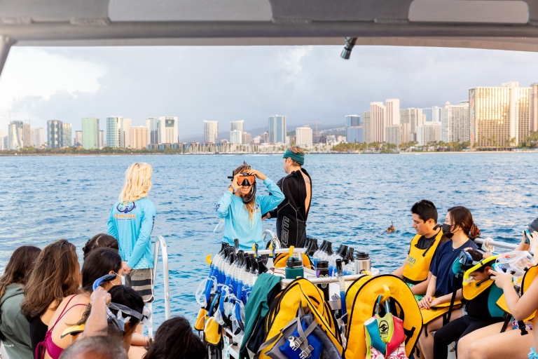 Waikiki: esnórquel en los cañones de las tortugasCrucero de 2 horas con esnórquel para mayores de 3 años