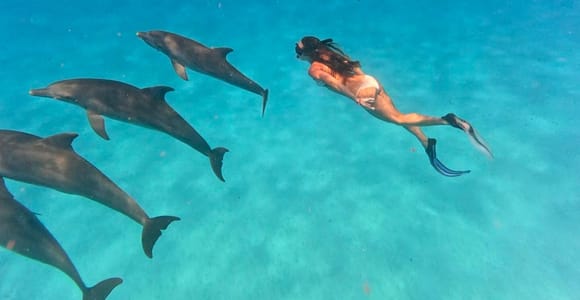 Mnemba: Dolphins & Snorkeling Tour with Pickup & Marine Fees