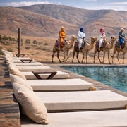 Marrakech Quad Camel Adventure with Dinner Show in Agafay