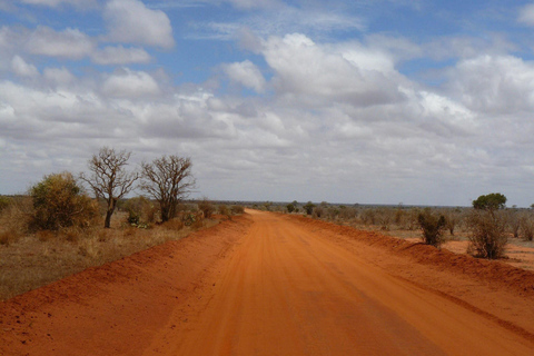 Mombaça/Diani: Safari de 2 dias em Tsavo East e West com estadiaMombaça/Diani: safári de 2 dias em Tsavo East e West com estadia