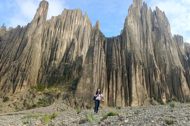 Visite d'une demi-journée Valle de las animas, vallée de la lune, killi killi