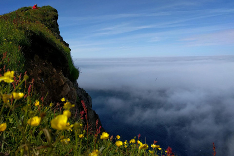 Ísafjörður: Hornstrandir Nature Reserve Guided Hike