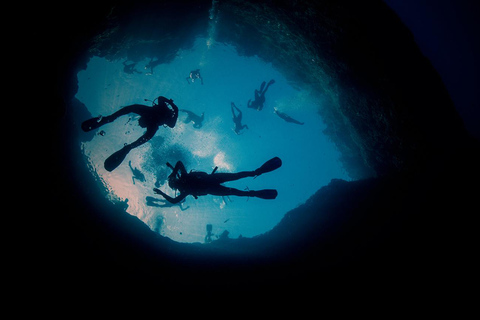 Malta: 1-dniowy kurs dla początkujących PADI Scuba Diver Certification