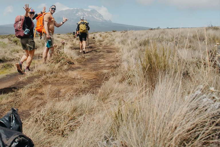 Moshi/Arusha: Kilimanjaro Day Trek~Lemosho, Marangu, Machame Arusha : Machame route day hike