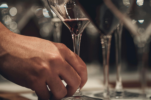 Wine Tasting Experience in Genoa: the Kings of Italian Wine