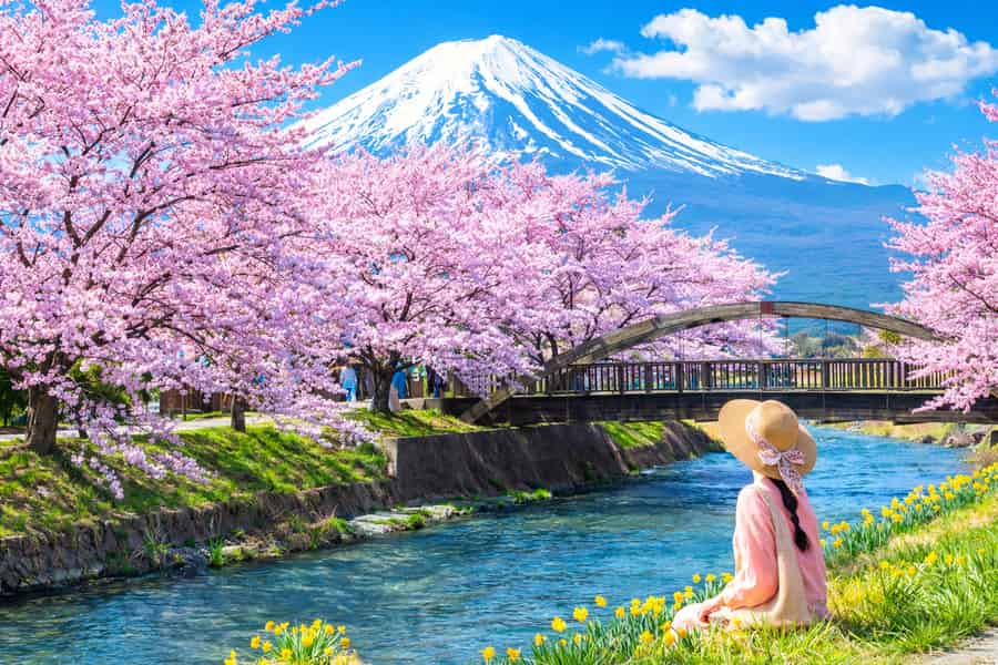 Tagestour zu den 6 schönsten Orten am Fuji: Arakurayama Park, Oshino Hakkai. Foto: GetYourGuide