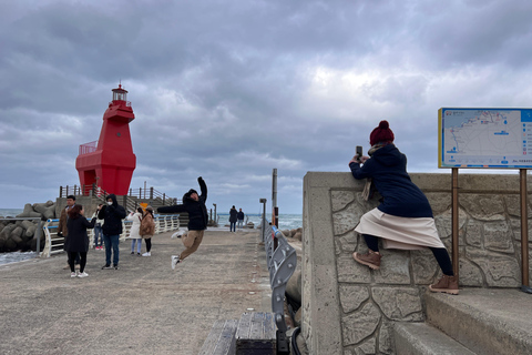 Île de Jeju : Visite guidée en van avec un guide qui aime le plus JEJU