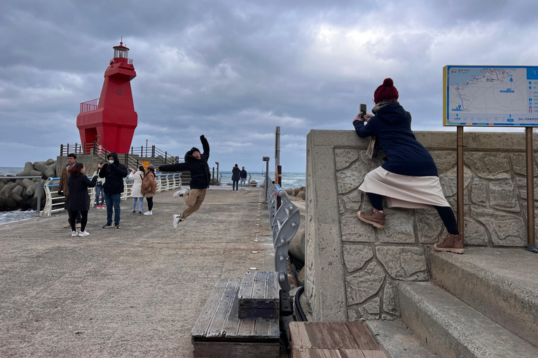 Île de Jeju : Visite guidée en van avec un guide qui aime le plus JEJU