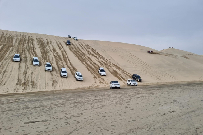 Paseo en camello gratuito; Conducción en dunas; Sand-boardingSafari por el desierto al atardecer, en el Mar Interior