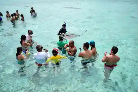 Bora Bora: Half-Day Lagoon Snorkelling Tour