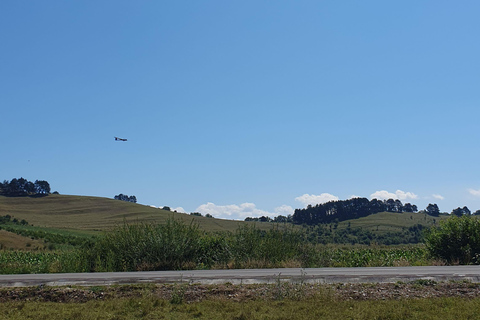 Brasov: Experiencia de vuelo en planeador en el aeródromo de Sanpetru