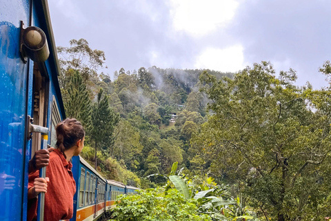 Colombo: Kandy Day Trip with Scenic Hill Country Train Ride