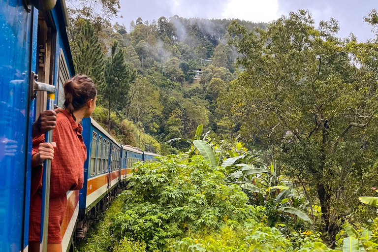 Colombo: Kandy Day Trip with Scenic Hill Country Train Ride