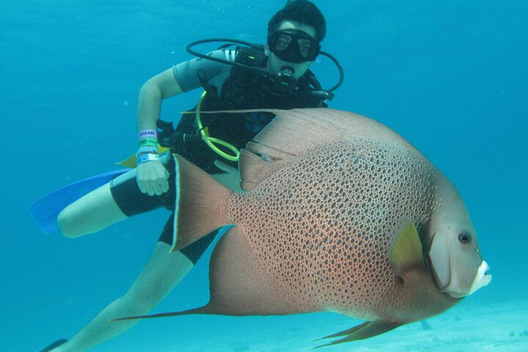 Cancún: 2-Day PADI Open Water Diving Course