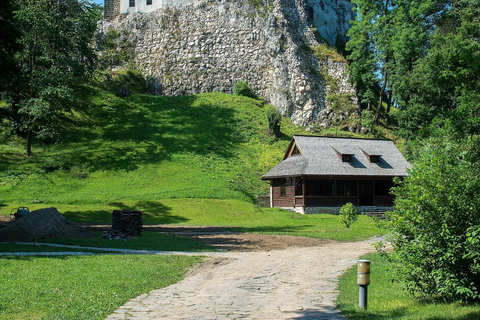 Bran Castle Small-Group Day Tour from Brașov | Local Guide