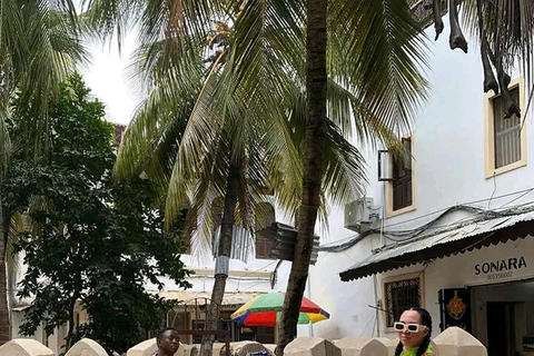 Zanzibar: Tour guidato a piedi di Stone Town con guida.