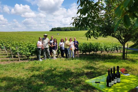From Tours: Afternoon Loire Valley Wine Tour to Vouvray