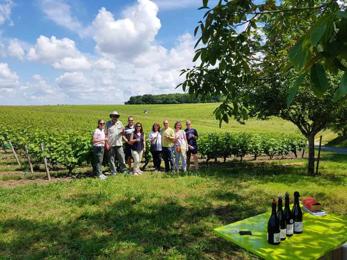 From Tours: Afternoon Loire Valley Wine Tour to Vouvray