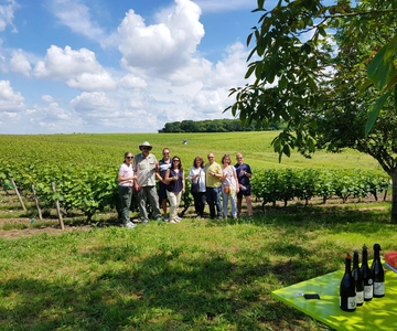 From Tours: Afternoon Loire Valley Wine Tour to Vouvray