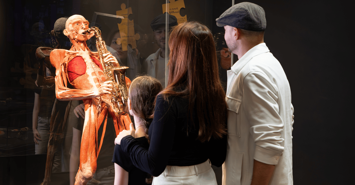 Afbeelding 8 van Body Worlds Amsterdam: The Happiness Project Ticket