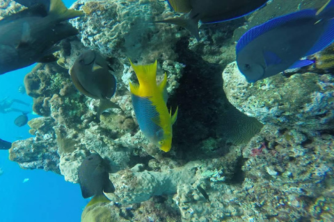 Sosúa: Catamaran Cruise with Snorkeling and Lunch