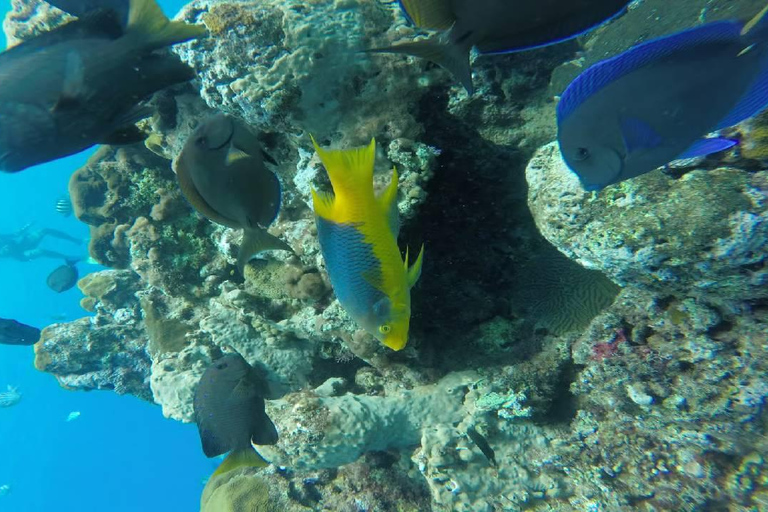 Sosúa: Catamaran Cruise with Snorkeling and Lunch