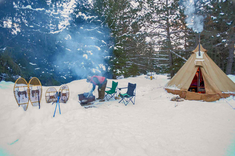 2-Day Winter Camping with Northern Lights RV-Motorhome Tour