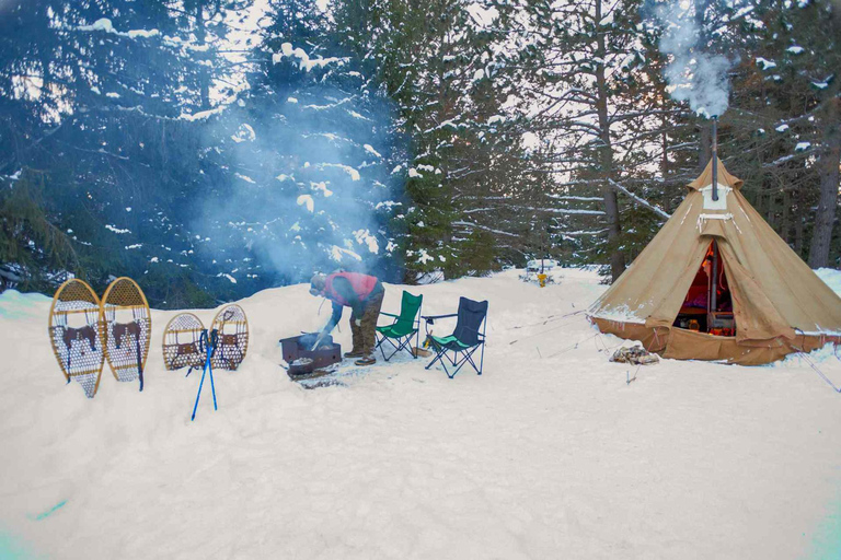 Camping d&#039;hiver de 2 jours avec aurores boréales en camping-car