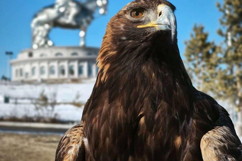 Mongolia: Genghis Khan Statue, Terelj Park & Horse Show