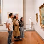 Lione: biglietto per il Museo delle Belle Arti e audioguida della città