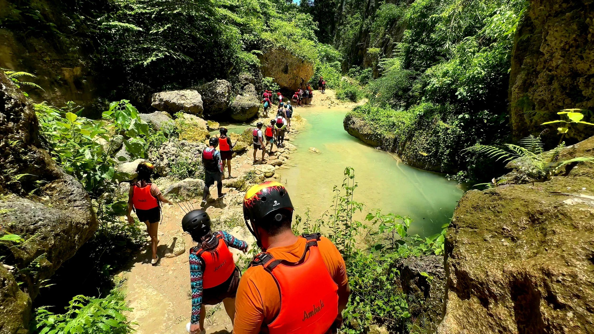 Cebu: Schwimmen mit Walhaien & Canyoning in Kawasan