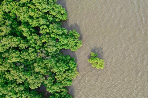 Aventura en los manglares de Bentota