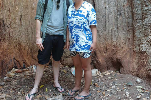 UZI ISLAND MANGROVE CONSAVATION WITH KAYAK TOUR PRIVATE TOUR WITH TRANSFER INCLUDED