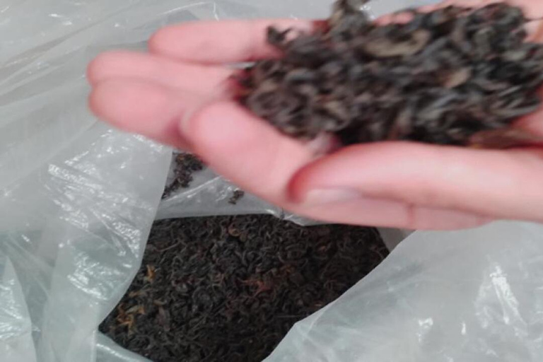 Yogyakarta: Nglinggo Tea Plantation Tour with Pickup