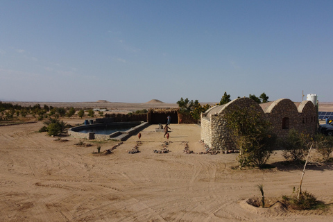 Hurghada: Camel Ride & horse ride and Off-Road Jeep Tour pickup from hotels inside hurghada