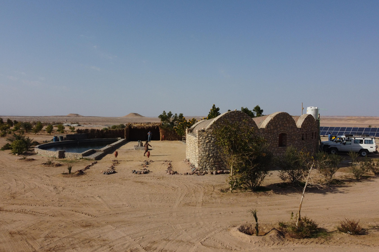 Hurghada: Camel Ride & horse ride and Off-Road Jeep Tour pickup from hotels inside hurghada