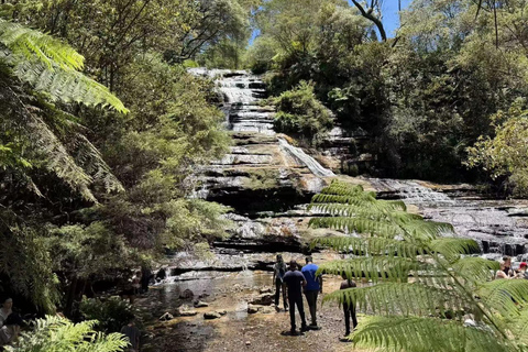 Blue Mountains Tour, Katoomba Falls & Cockatoos Small Group Blue Mountains ：Small Group + Cockatoos & Katoomba Falls&Ja