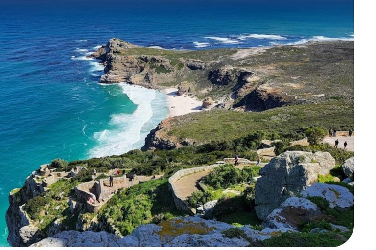 Kapstaden: Simning med pingviner Boulders Beach cape point