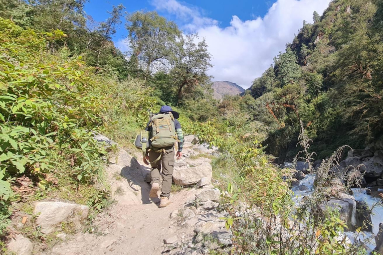 Desde Katmandú: Senderismo de 7 días por el Valle de Langtang