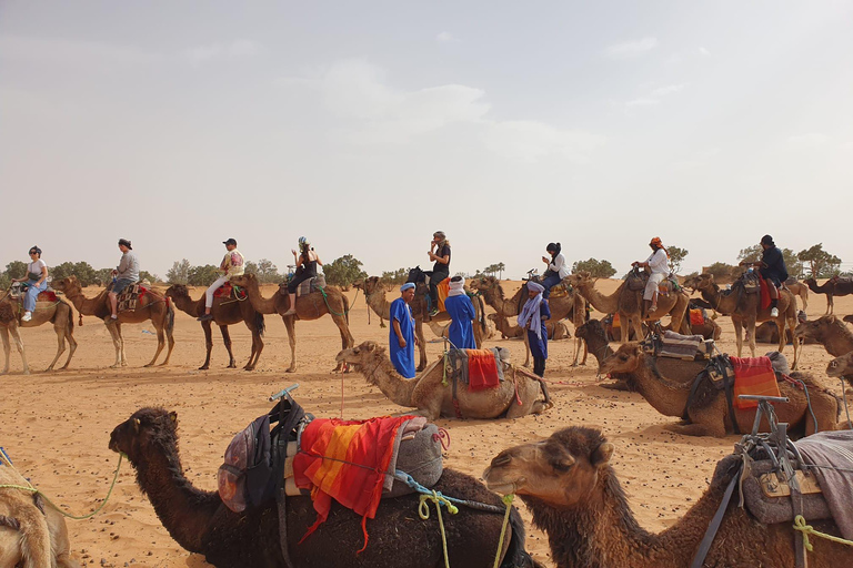 Marrakech to Fes 3 day Desert Tour Camel & luxury Tente Marrakech to Fes 3 day Desert Tour Standard Desert Tents