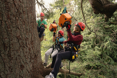 Vancouver Tree Climbing Tour: Canopy Expedition Adventure