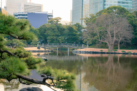 Tokyo: 1-dagars höjdpunkter med privat bil och guide