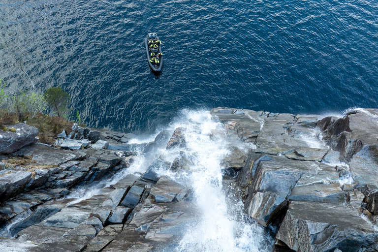 Bergen: Modalen RIB Fjord Safari with Lunch & Transfer