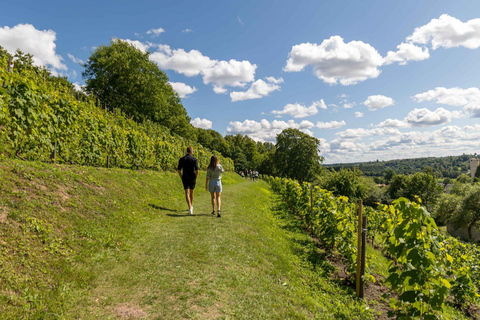 Kuldiga, joya de las cascadas de Letonia excursión con cata de vinos